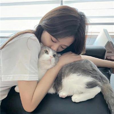 盗皇陵